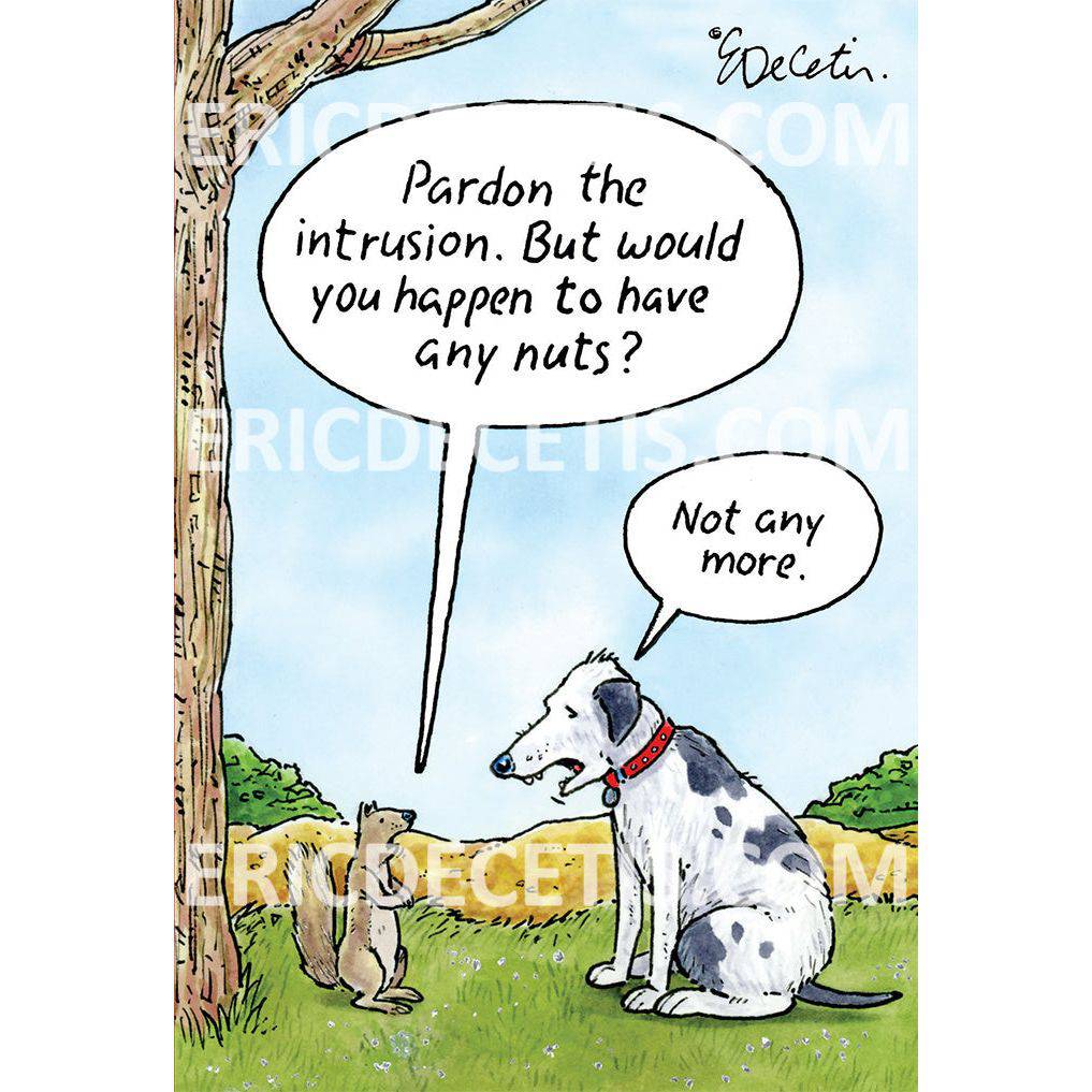 Squirrel dog nuts birthday card from Pictura featuring a playful illustration, perfect for celebrating special occasions.